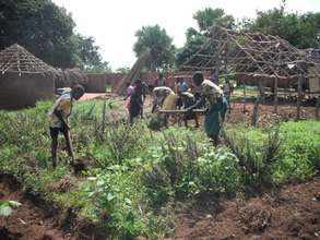 Orphaned Vulnerable Children