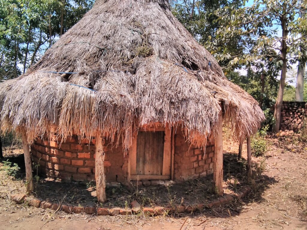 Kind of homes these children run away from