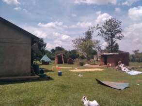 Home kitchen, matron's hut blown away by the storm