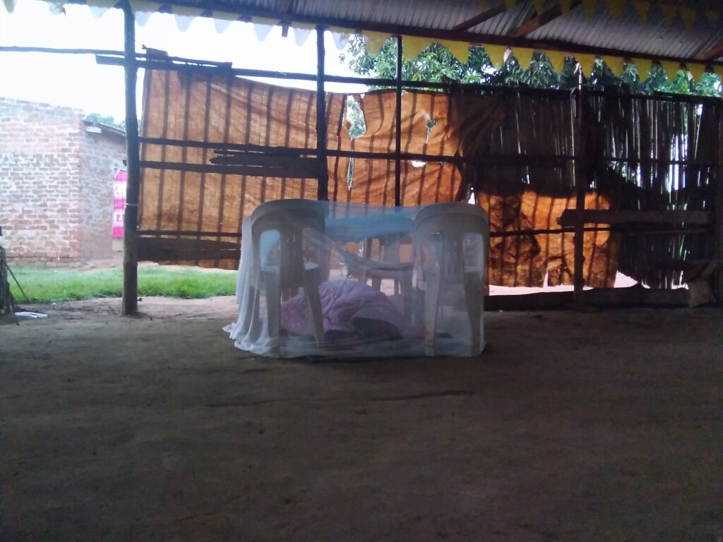 Help Grow Food For Street Kid's (Orphans)