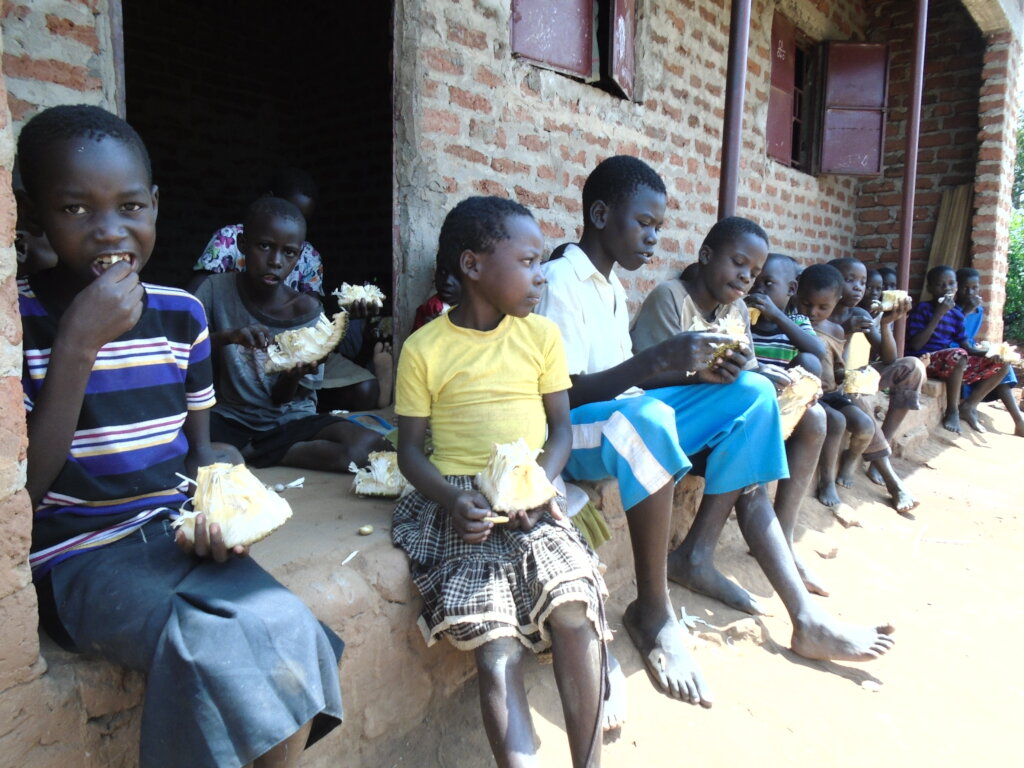 Help Grow Food For Street Kid's (Orphans)