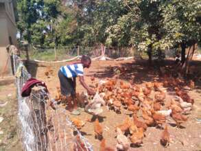 Poultry farm started 2026