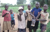 Help Grow Food For Street Kid's (Orphans)
