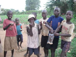 Help Grow Food For Street Kid's (Orphans)
