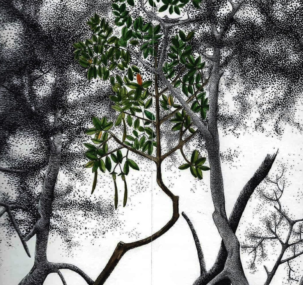 Art for community development