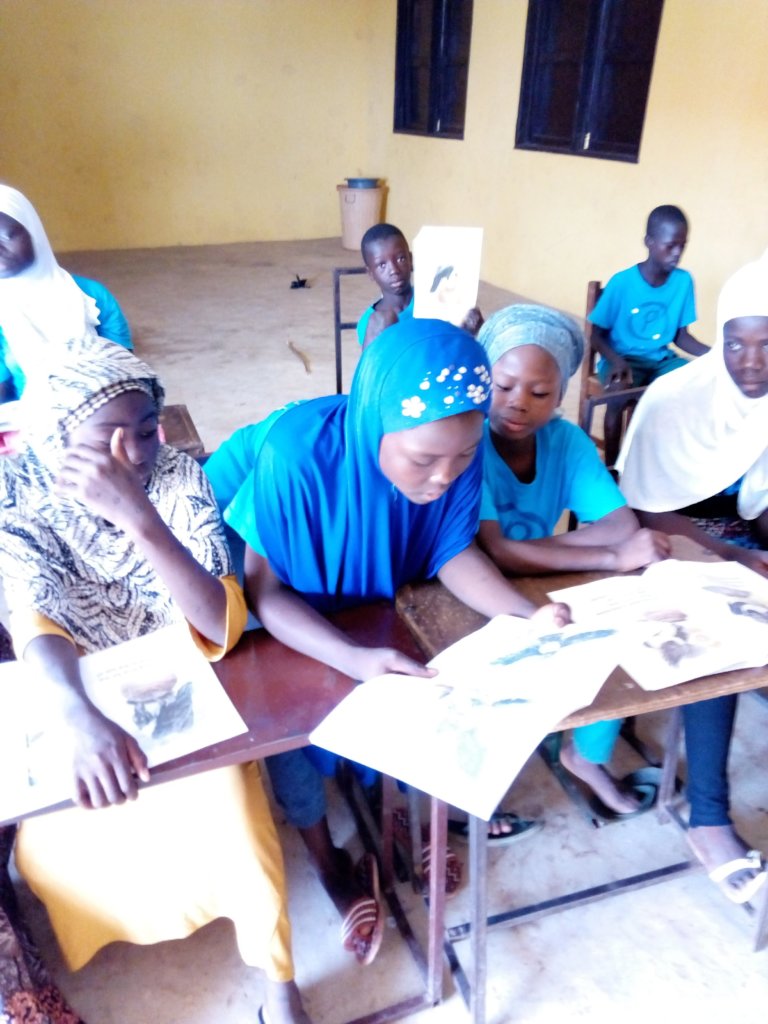 Build 30 little libraries for 30 villages in Ghana