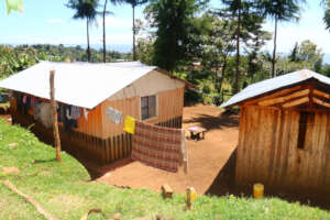 Several elements make up a healthy homestead