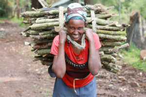 Carrying wood from the forest for cooking stoves