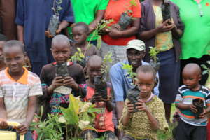 Community Tree planting