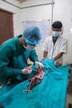 Sterilizations at our clinic
