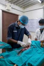 Sterilization at our clinic