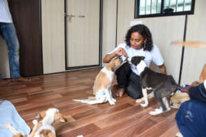 Special needs pups eating snacks