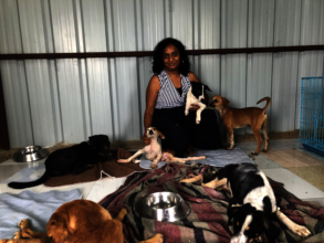 Our paralyzed room with paralyzed pups