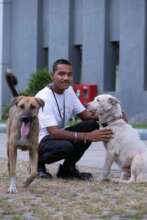 Mindspace IT park dog feeding and sterilization
