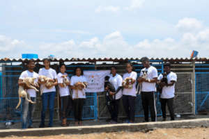 Our shelter volunteers W special needs pups