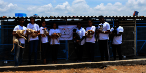 Our shelter volunteers W special needs pups