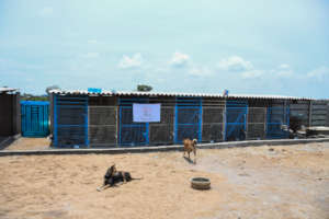 Our new kennels