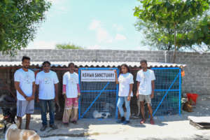 Shelter #2 sanctuary