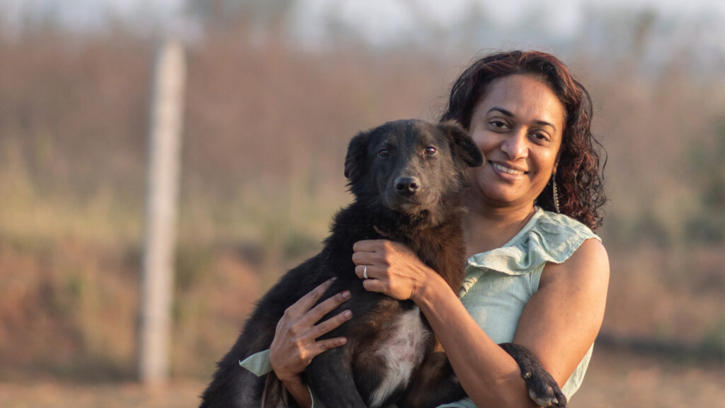Reports on A Better Life For India's Stray Animals GlobalGiving