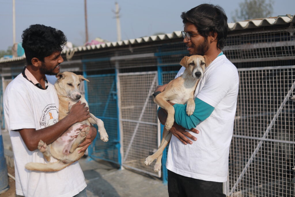 Shelter staff With recovering dogs