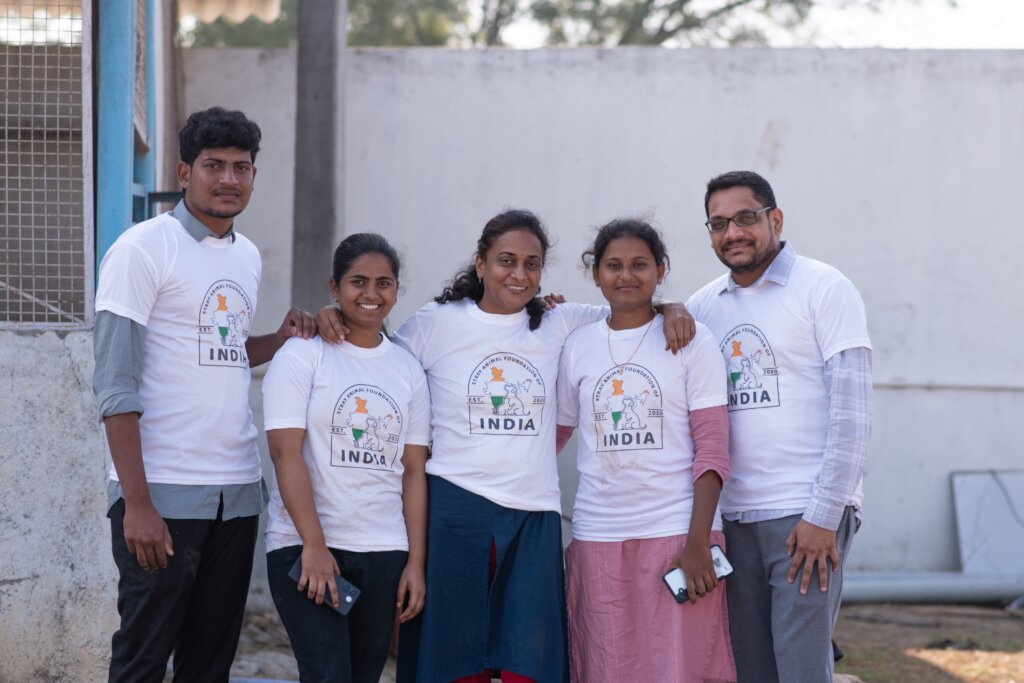 A Better Life For India's Stray Animals