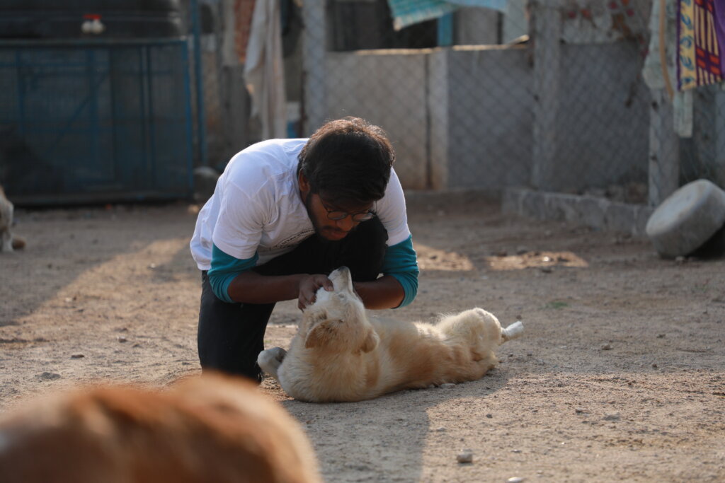 A Better Life For India's Stray Animals