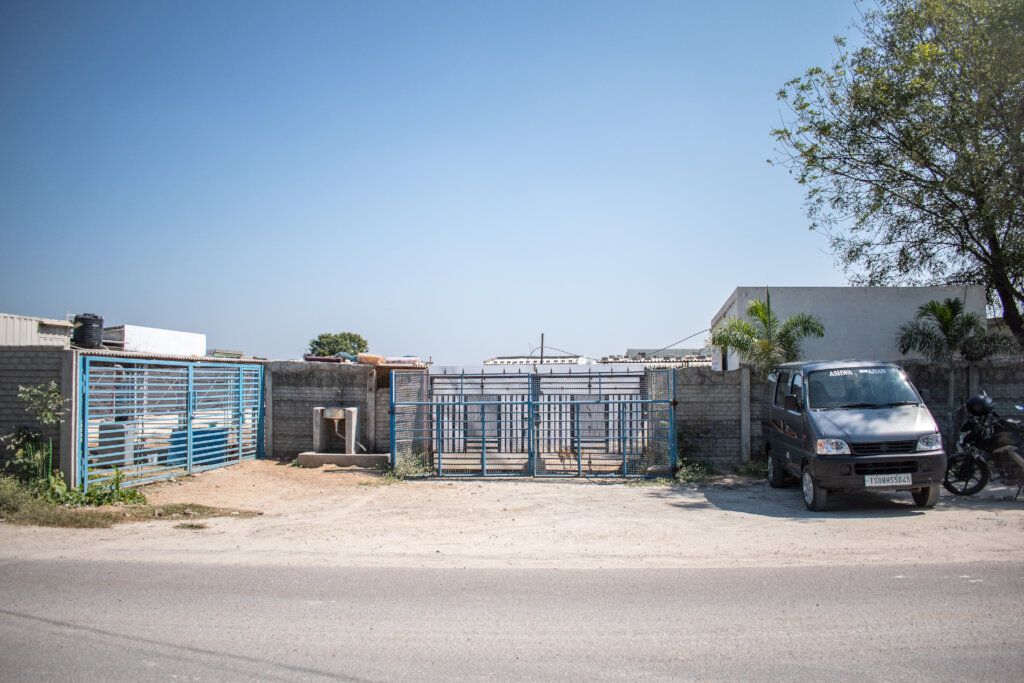 A Better Life For India's Stray Animals