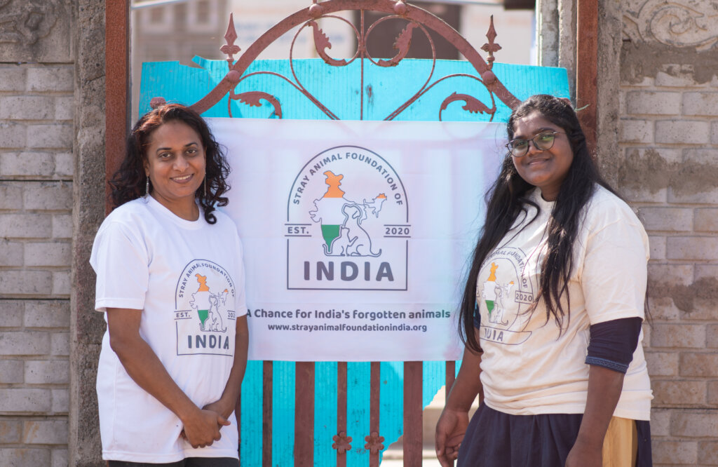 A Better Life For India's Stray Animals