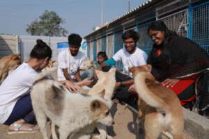 Shelter Staff and the pups