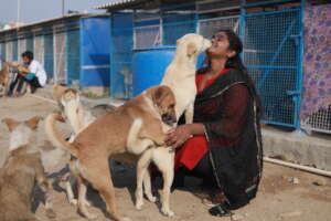 Shelter Staff and the pups