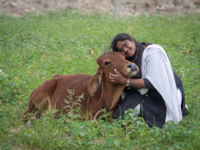 India NGO founder with rescued Adi cow