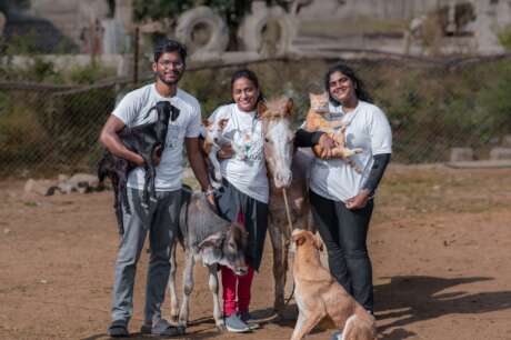 A Better Life For India's Stray Animals