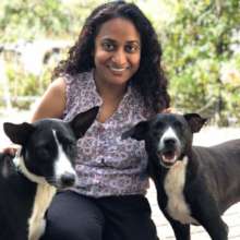 A Better Life For India's Stray Animals