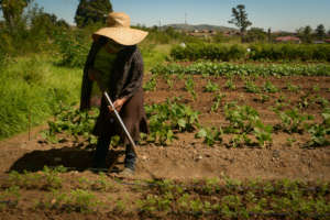 Elizabeth working in the garden
