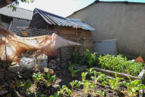 Vegetable garden in home of beneficiary
