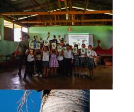 COLORES educational activity