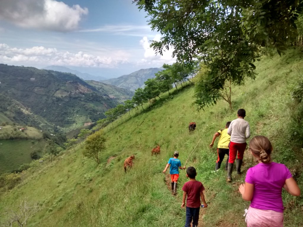 Taking action in pandemic with the SOLE Community