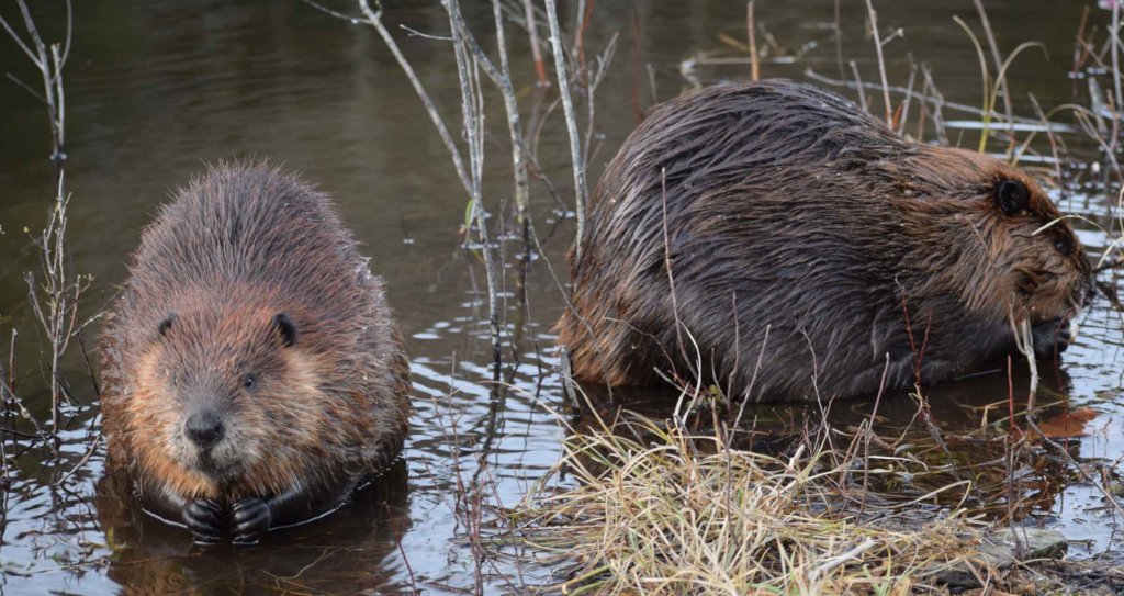 Youth Empowerment Project Summer 2021