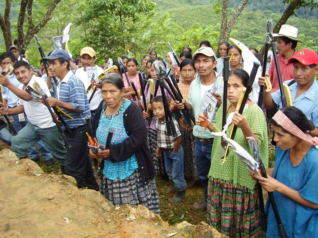 Empower Mayan families with sustainable farming