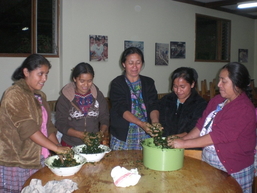 Empower Mayan families with sustainable farming