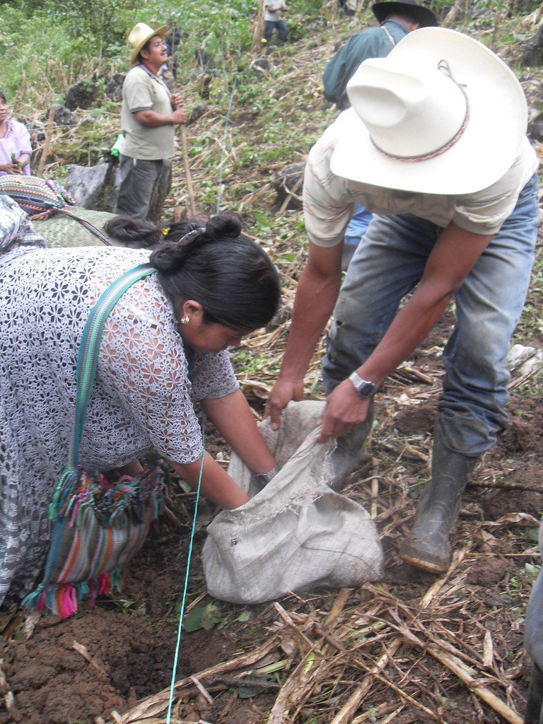 Empower Mayan families with sustainable farming