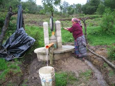 Empower Mayan families with sustainable farming