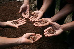 We support the cultivation of native seeds