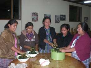 We offer workshops on health and nutrition
