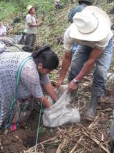 We train farmers how to use organic fertilizers