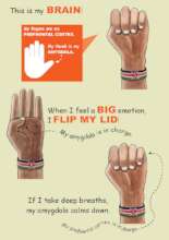 Flipping your lid flashcard