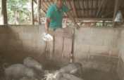 Help Start Small Businesses in Rural Thailand
