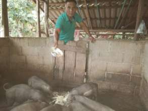 Help Start Small Businesses in Rural Thailand