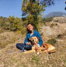 Help 7 Indian women rescue 100 Dogs!