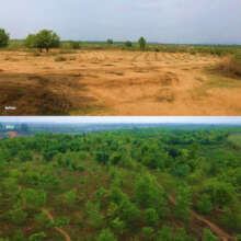Habitat restoration before after TCF